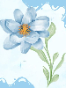 painting of blue flower on blue background