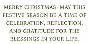 \"Merry Christmas! May this festive season be a time of celebration, reflection, and gratitude for the blessings in your life.\"