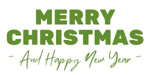 \"Merry Christmas and Happy New Year\"