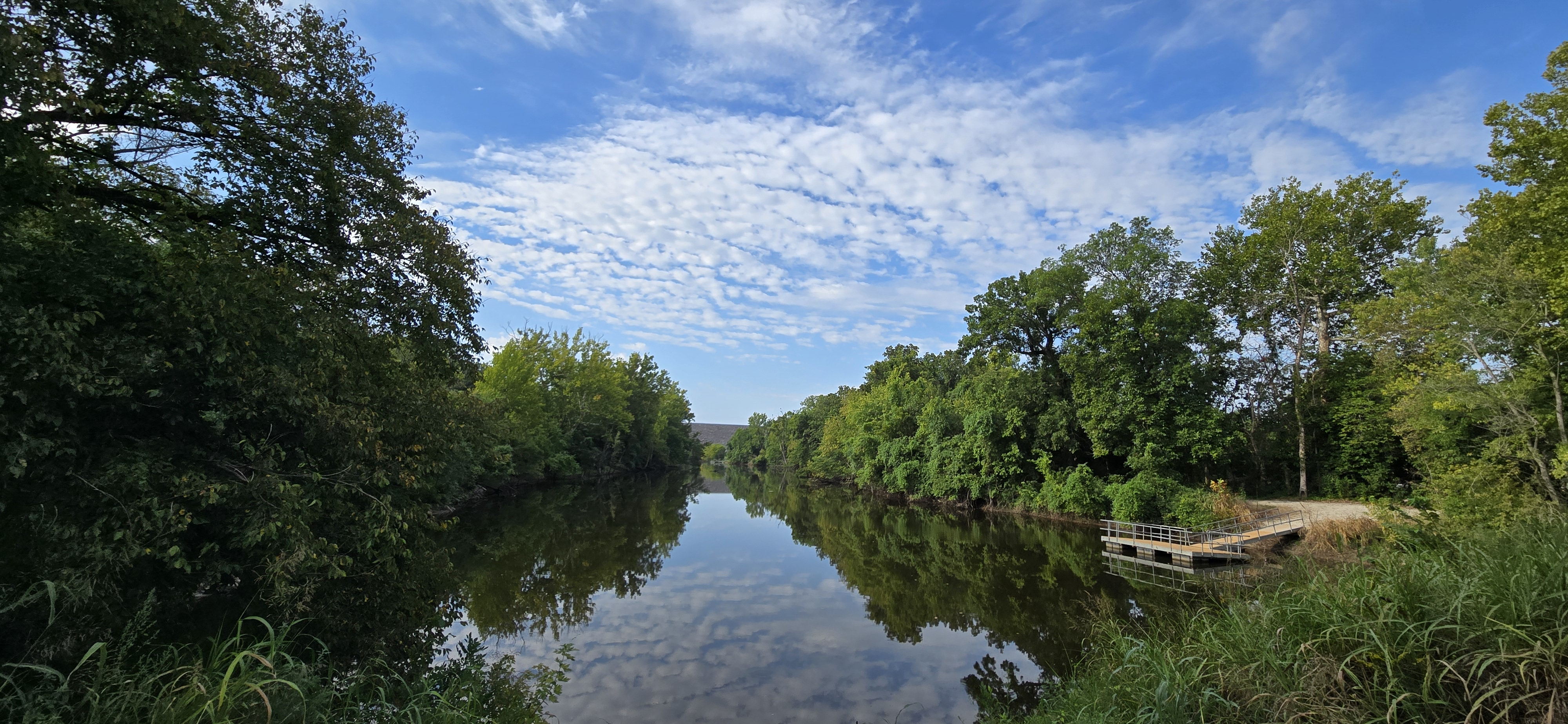 Cedar County