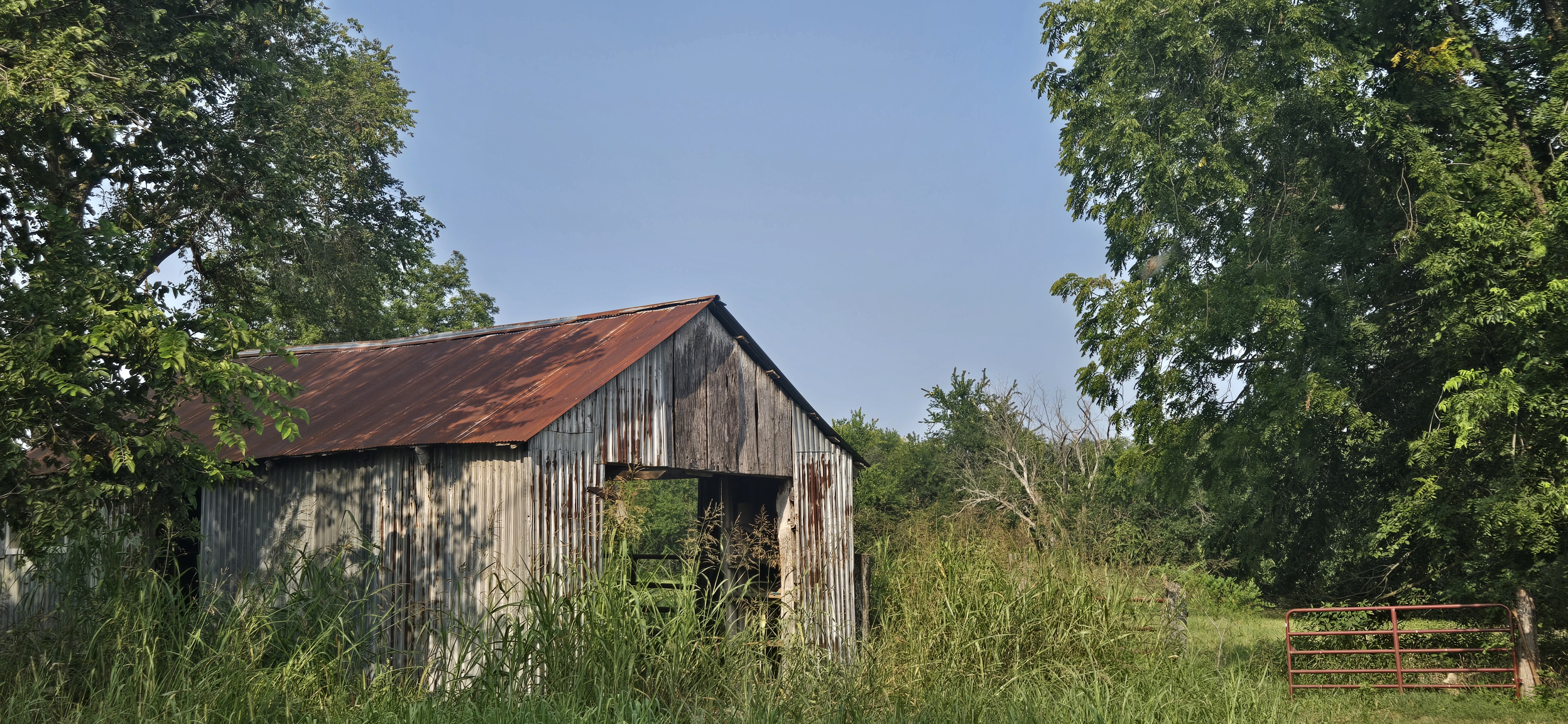 Cedar County