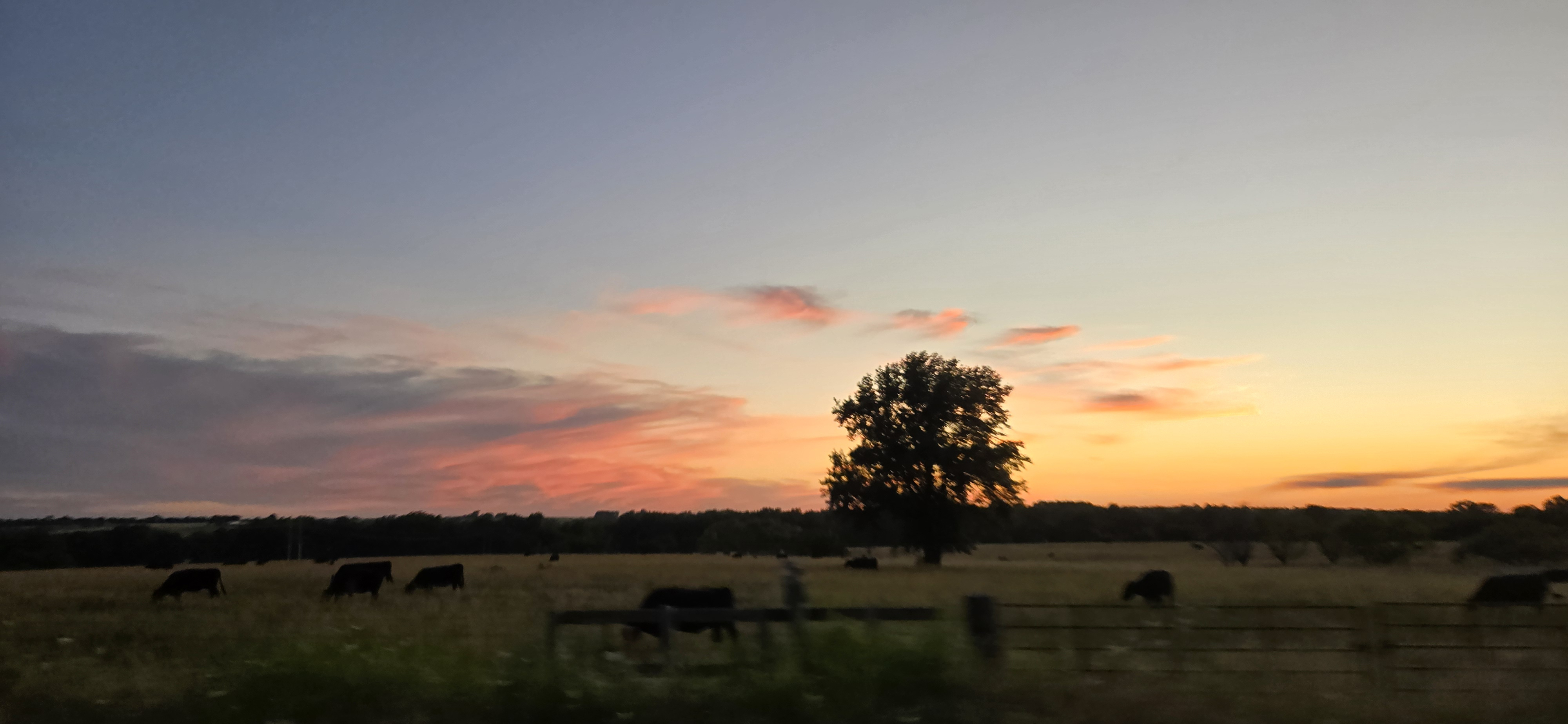 Cedar County