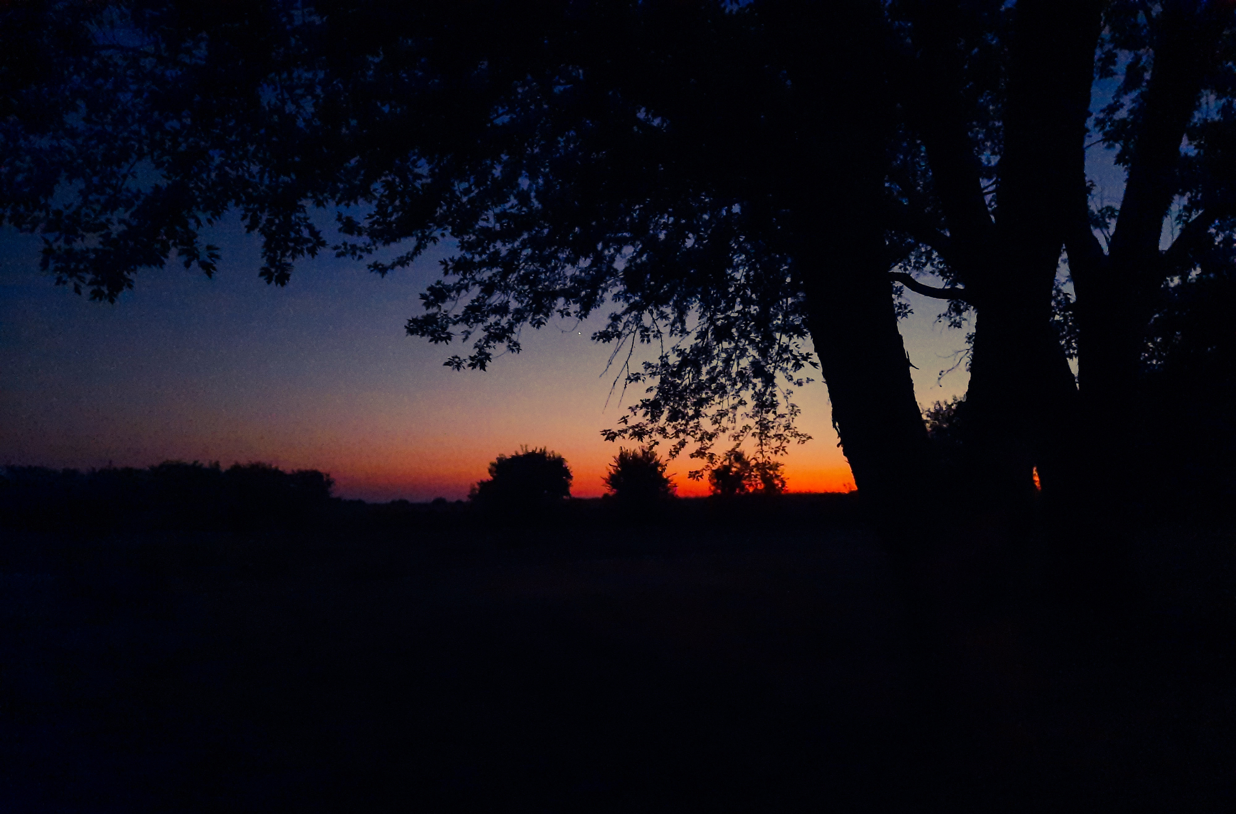 Cedar County