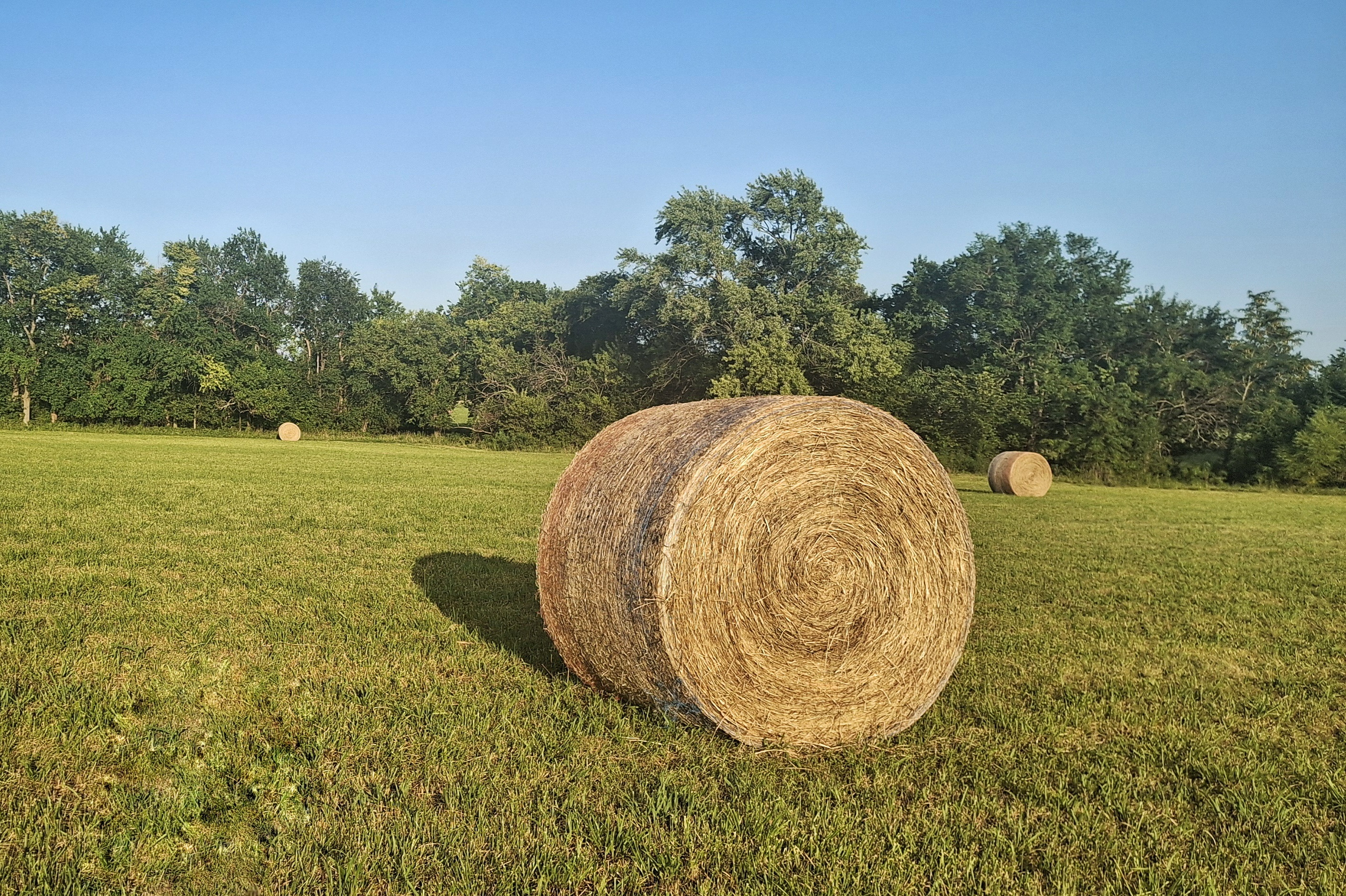 Cedar County