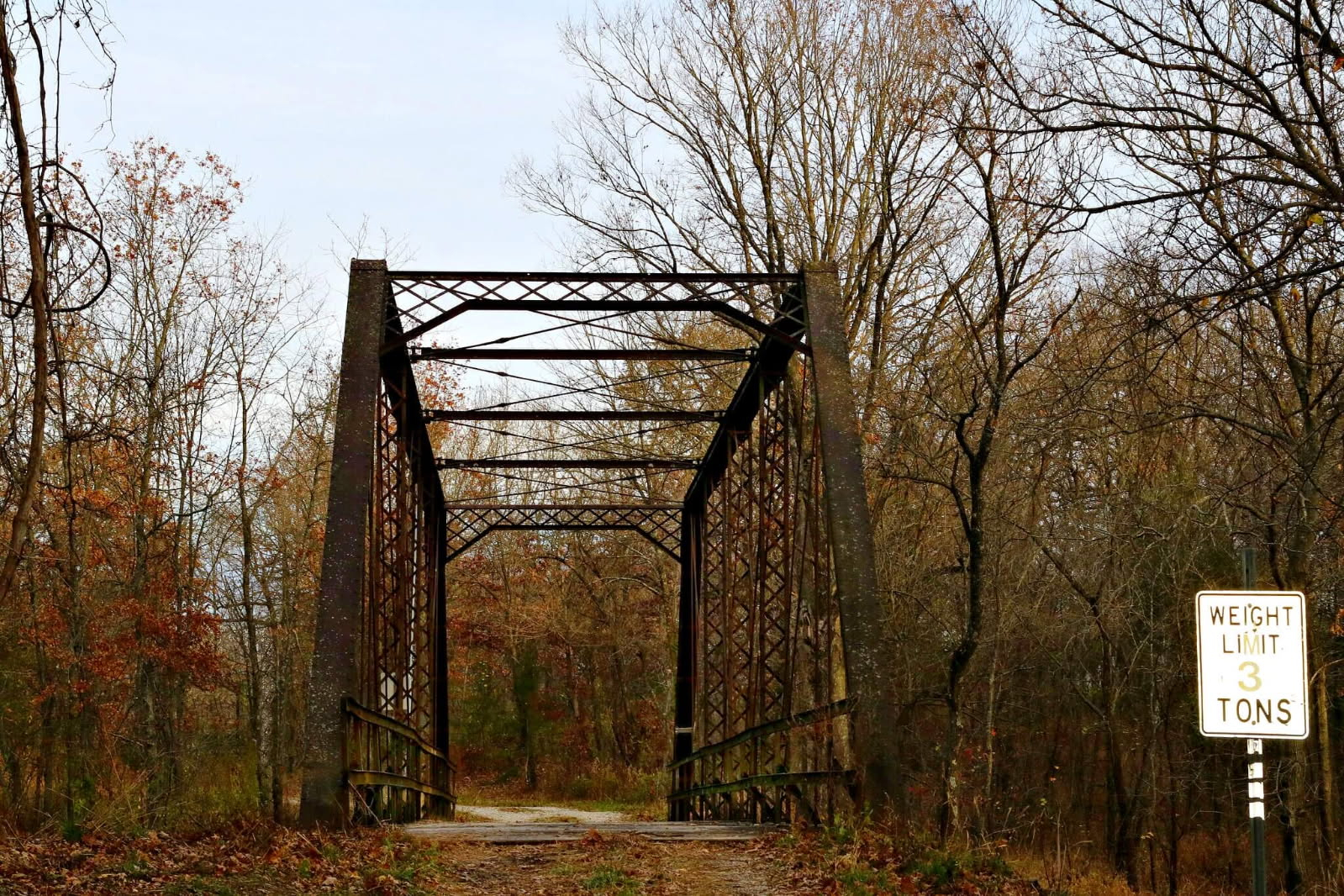 Cedar County