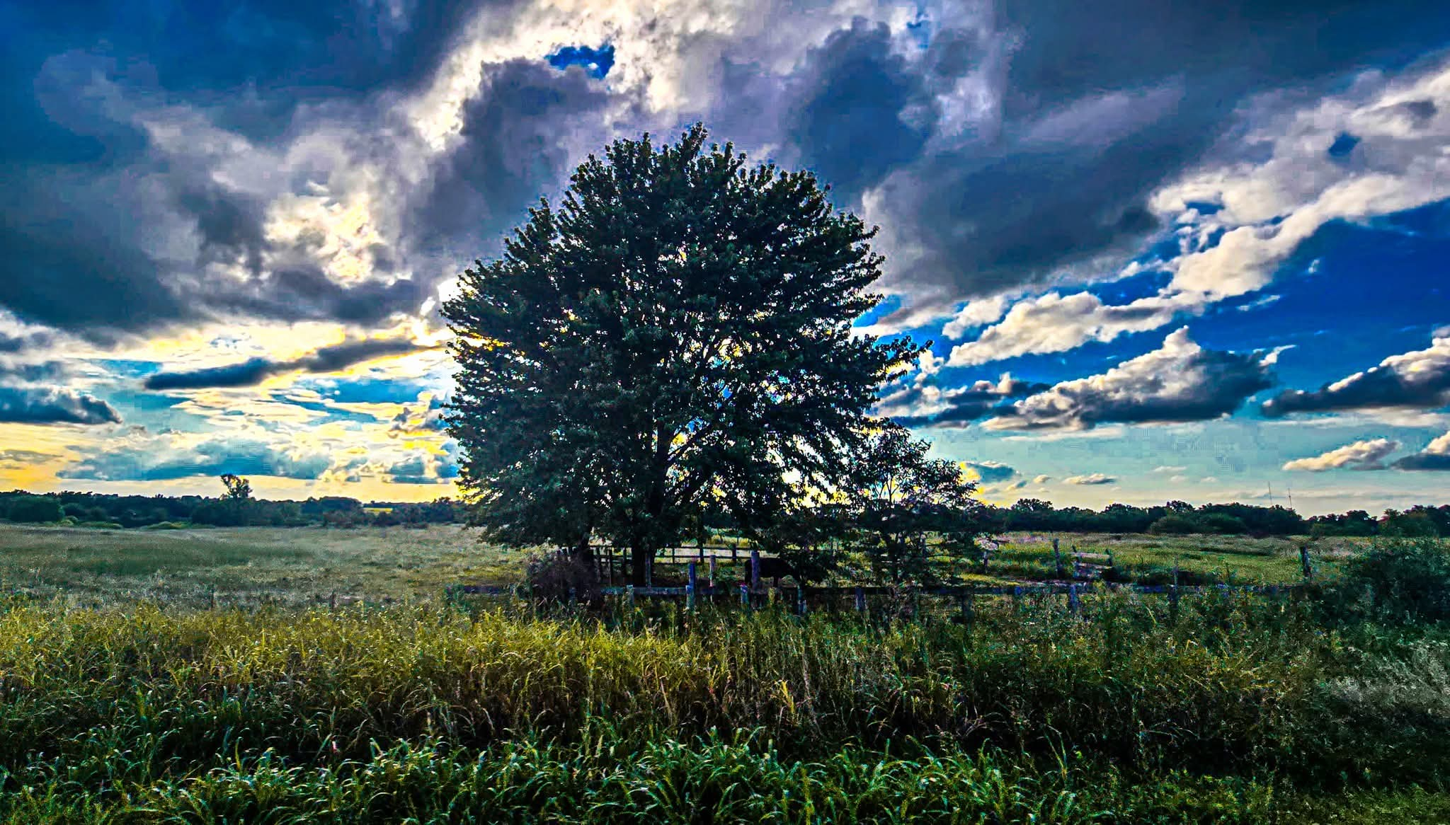 Submitted by Whitney Deckard