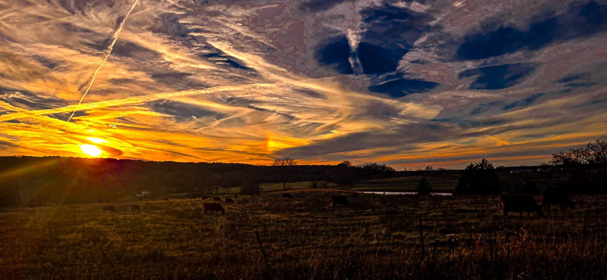 Submitted by Whitney Deckard