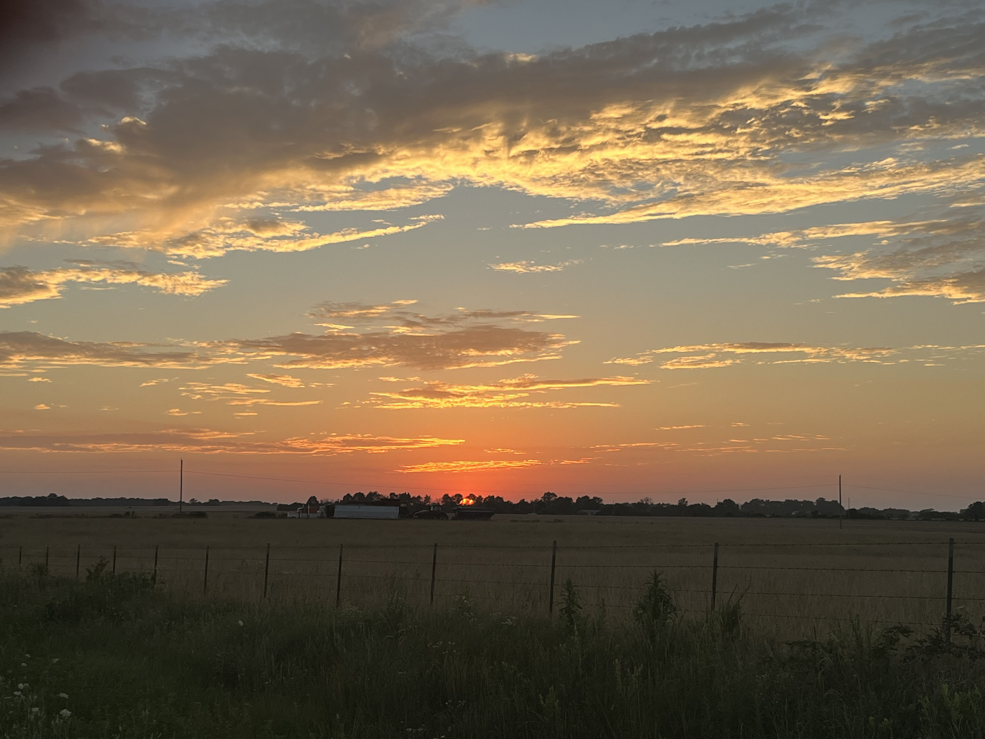 Submitted by Lorraine Gallette