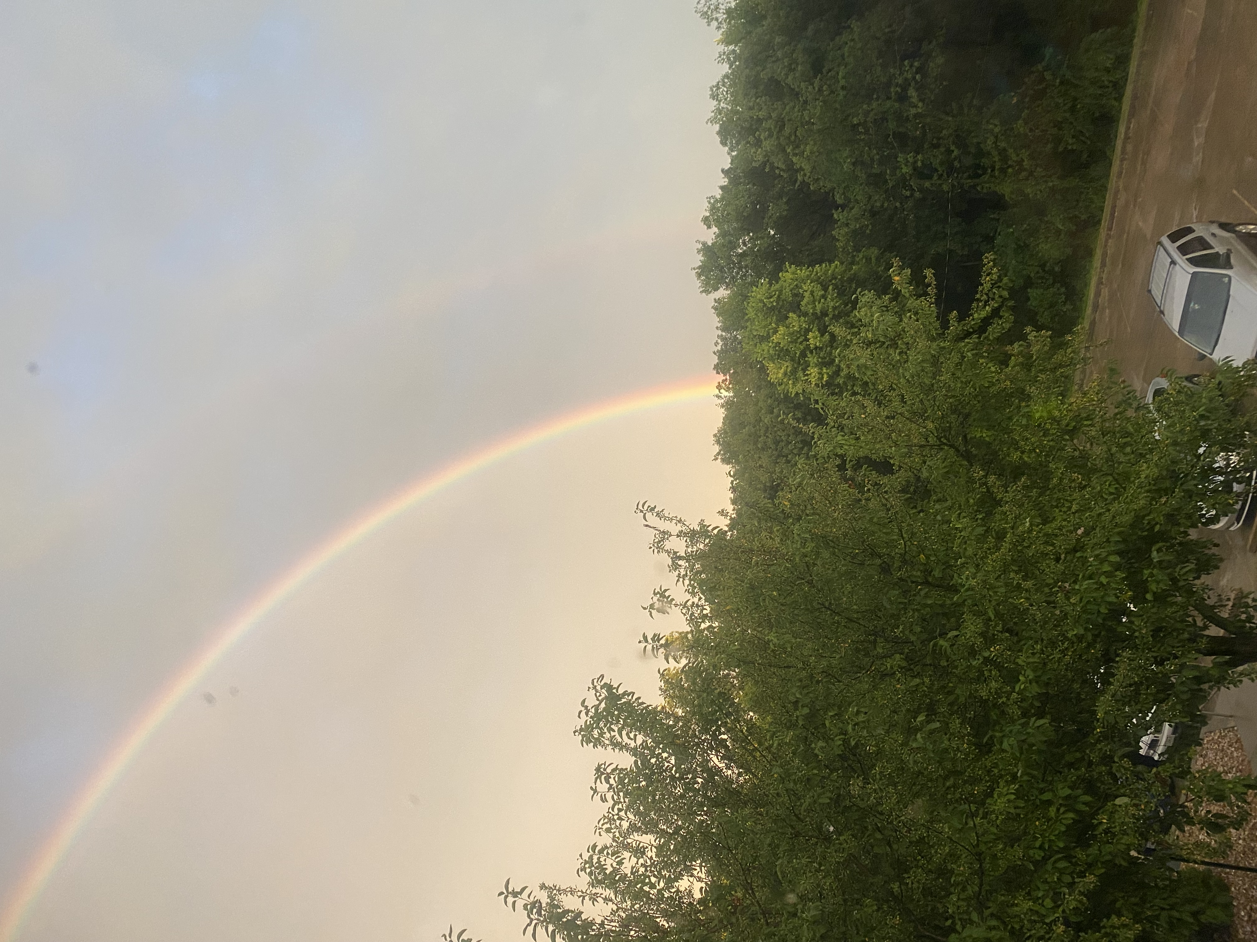 Submitted by Katlyn Hulsey