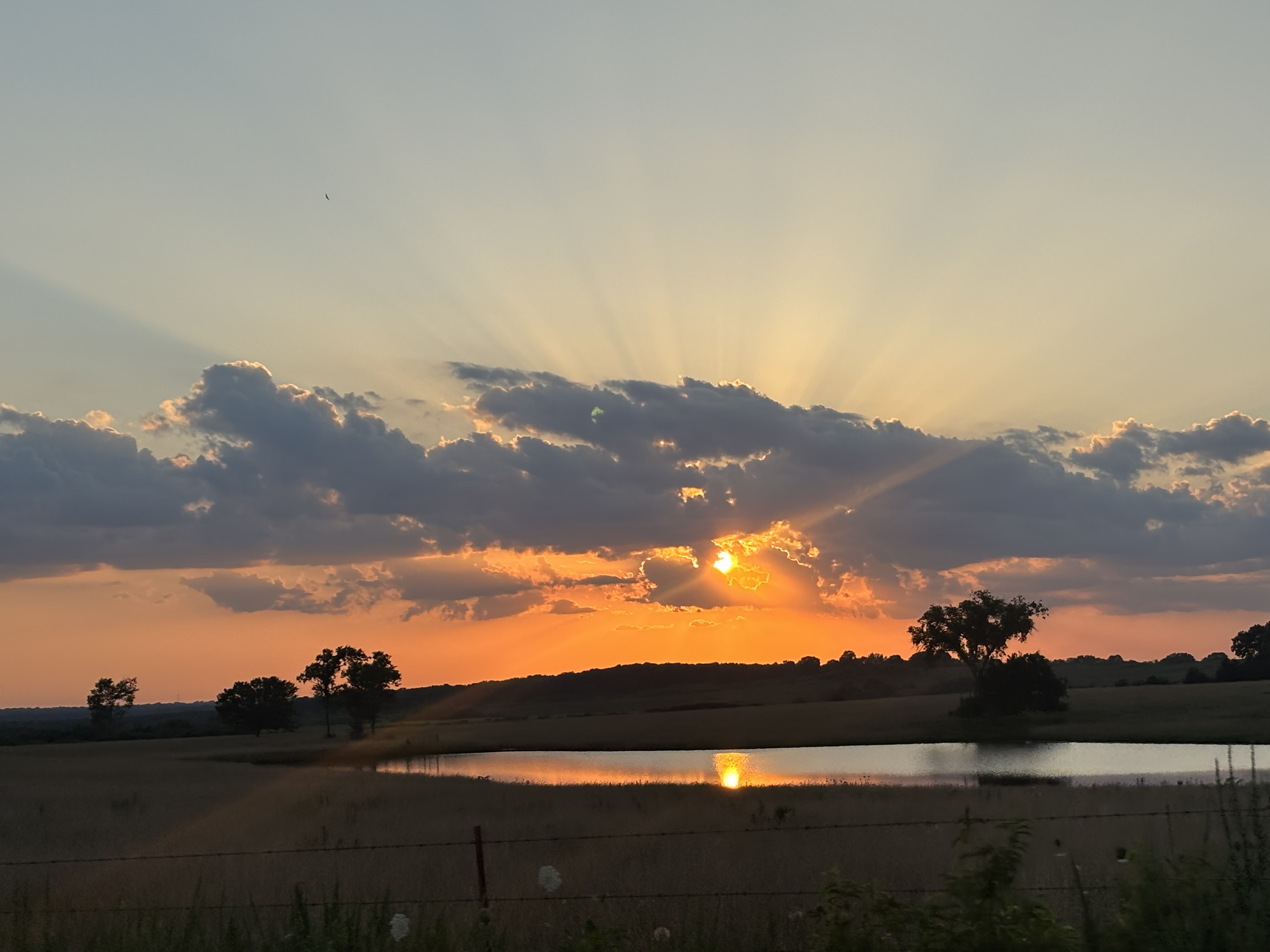Submitted by Katlyn Hulsey