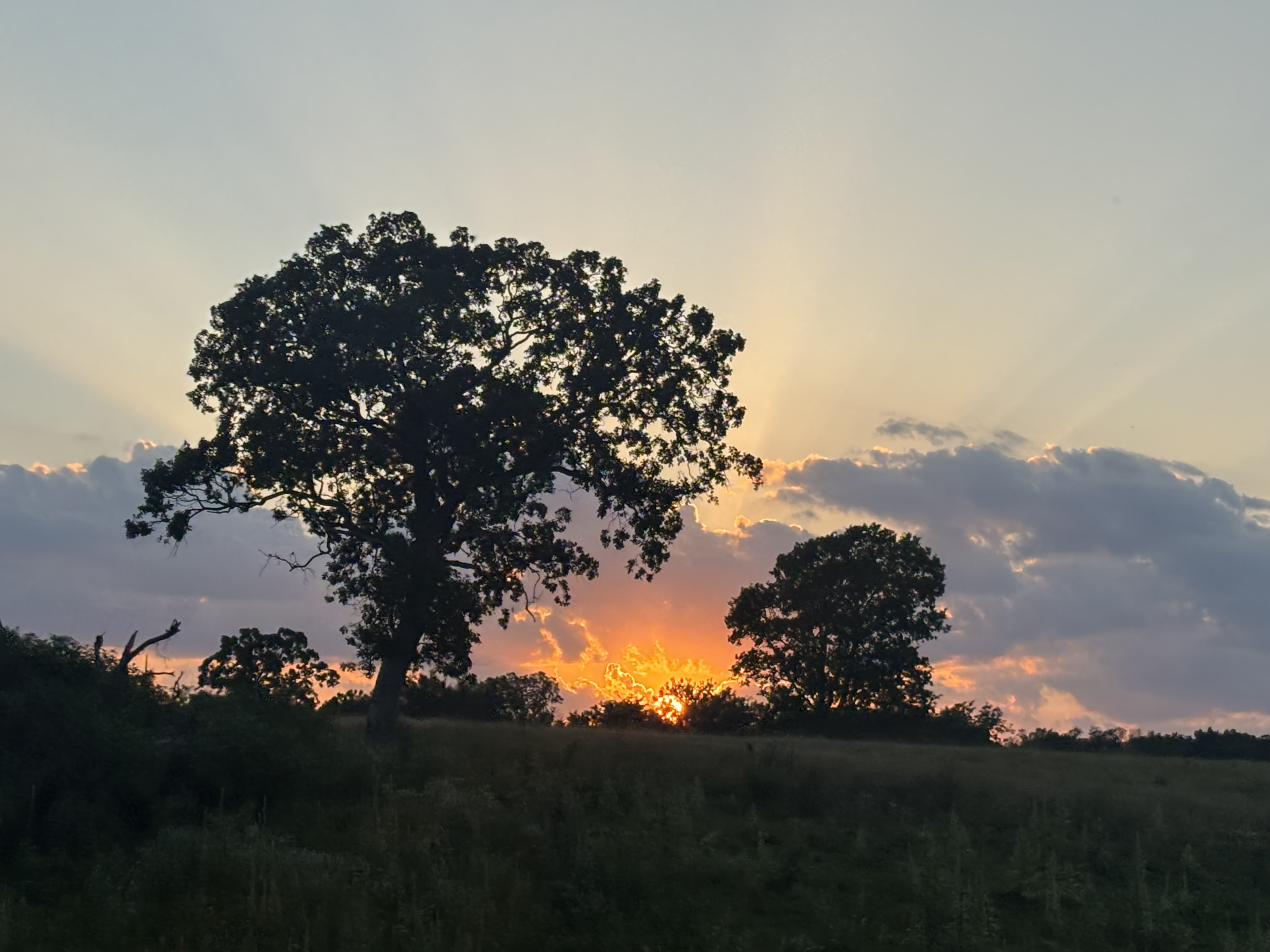 Submitted by Katlyn Hulsey