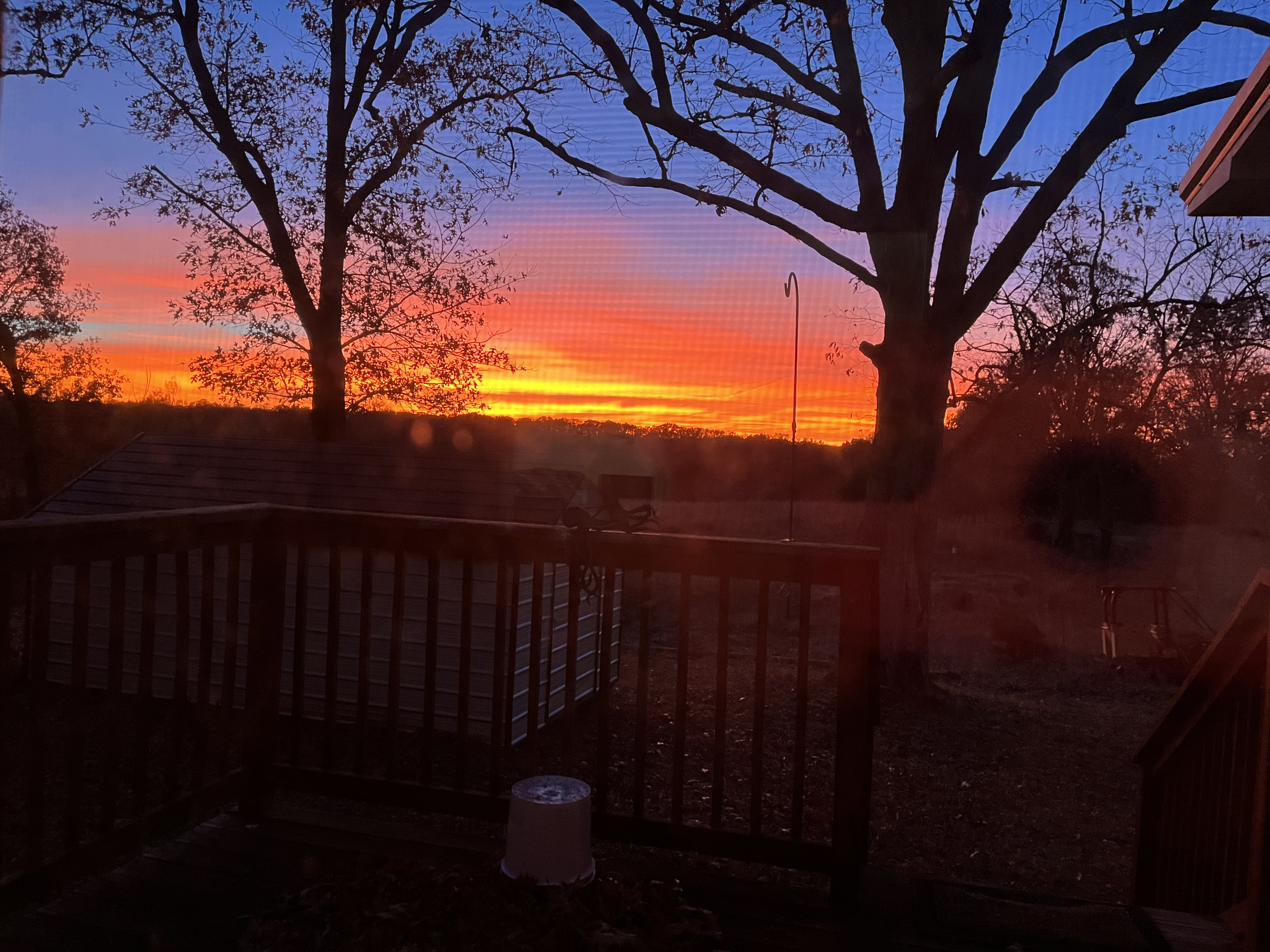 Submitted by Trudy Wade