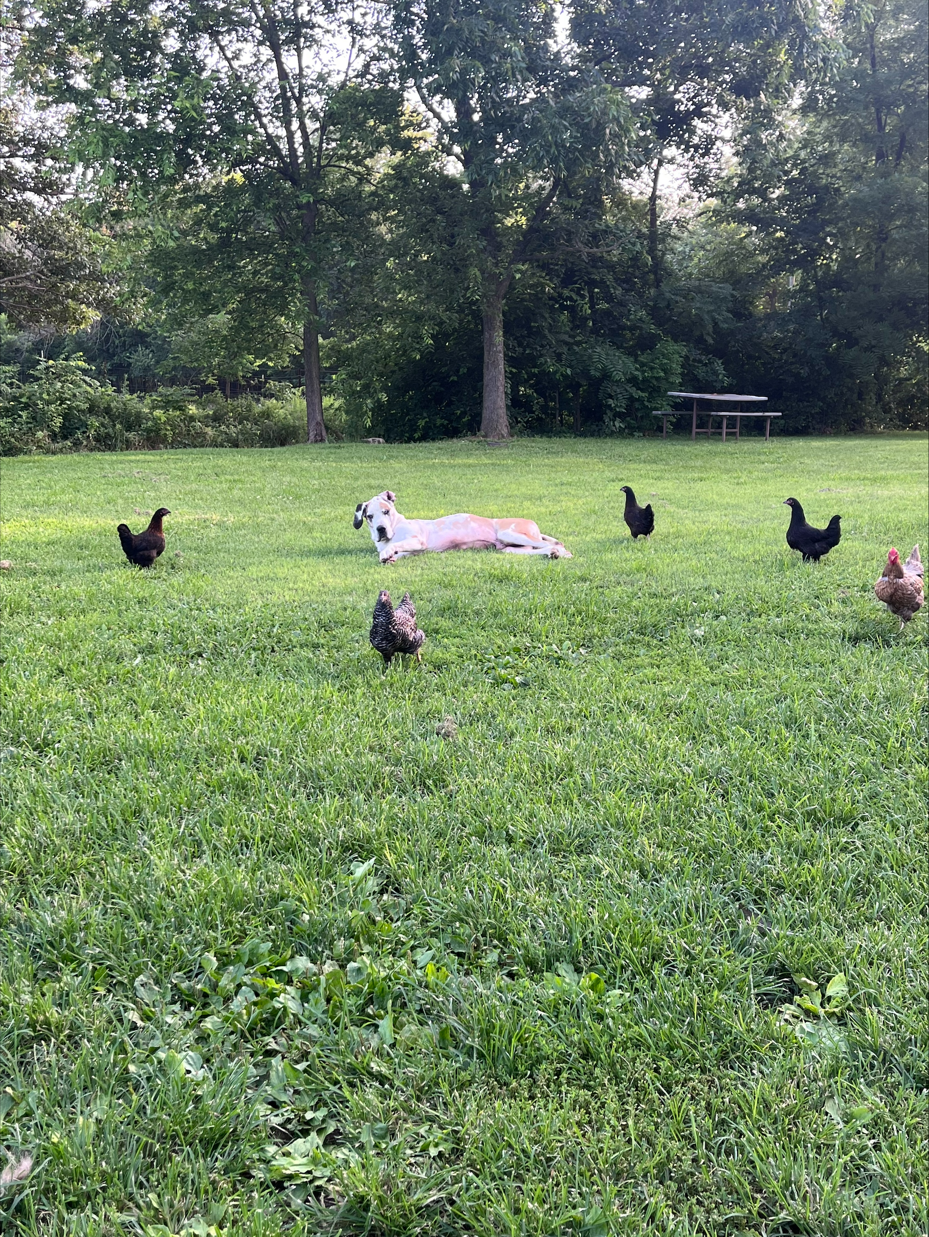 Submitted by Elizabeth Highley
