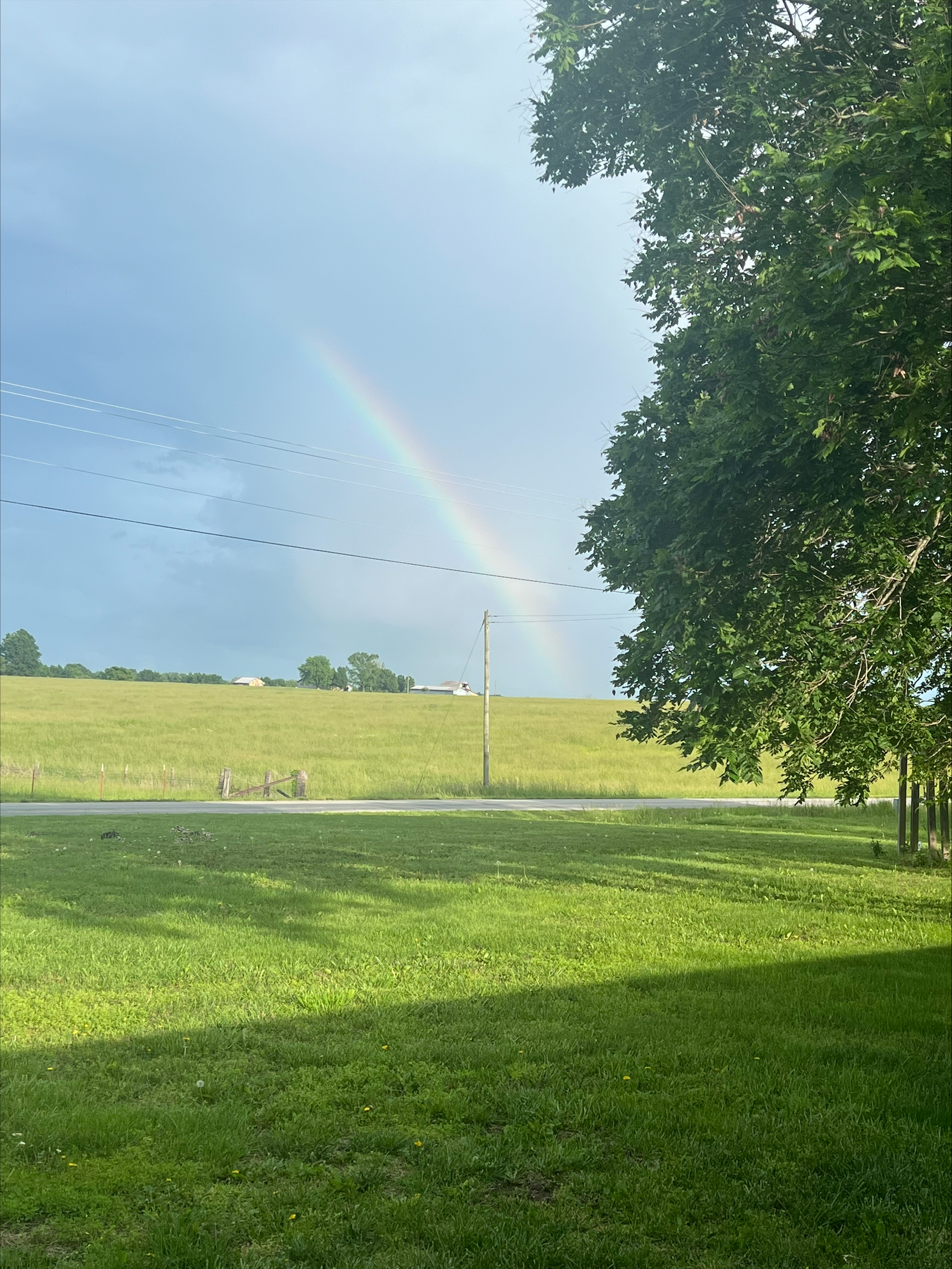 Submitted by Bailee Bailey
