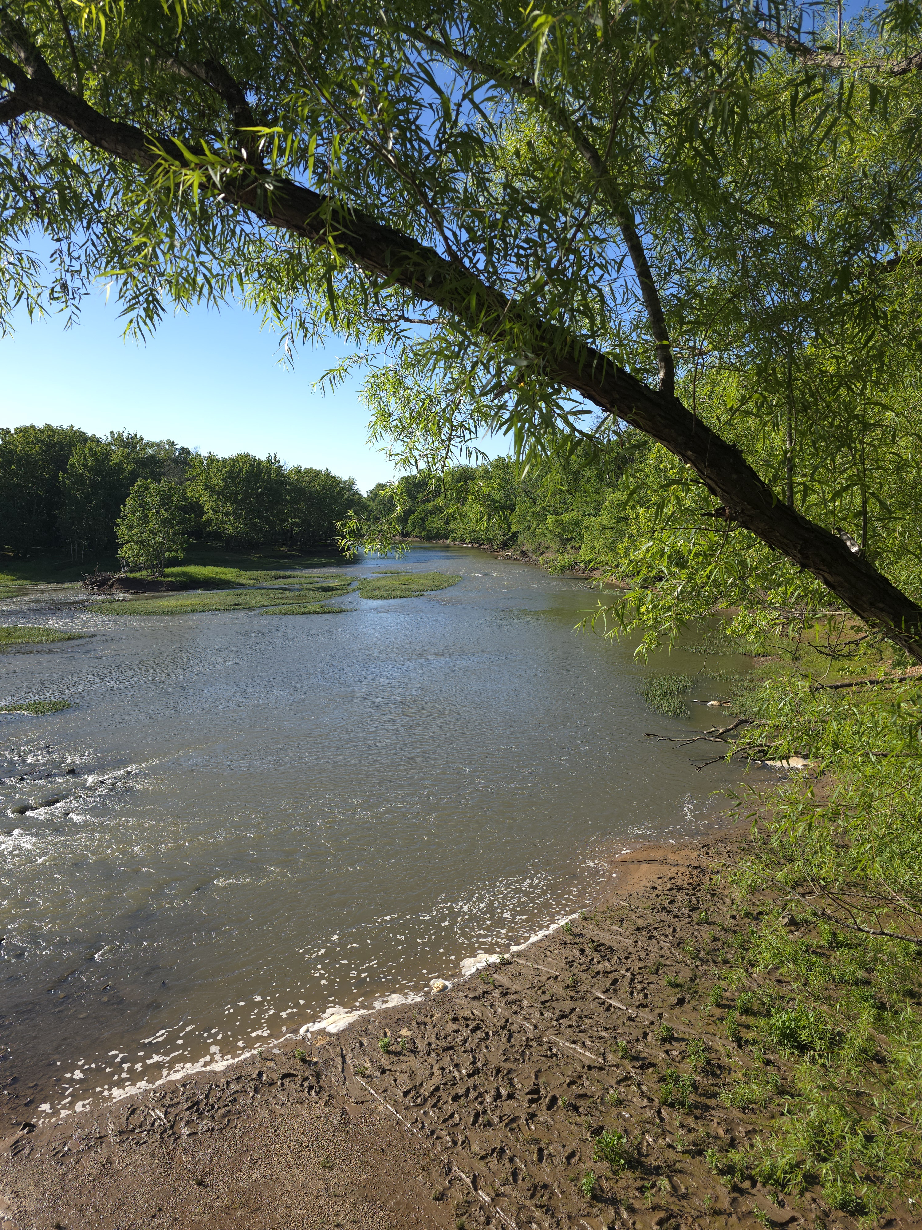 Submitted by Jennifer Dutcher