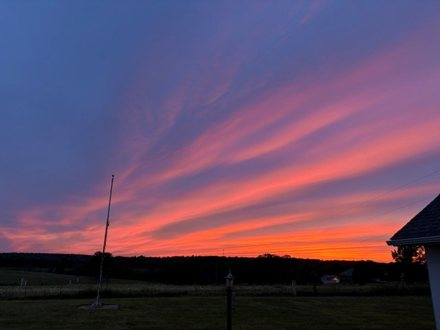 Submitted by Diana Carpenter