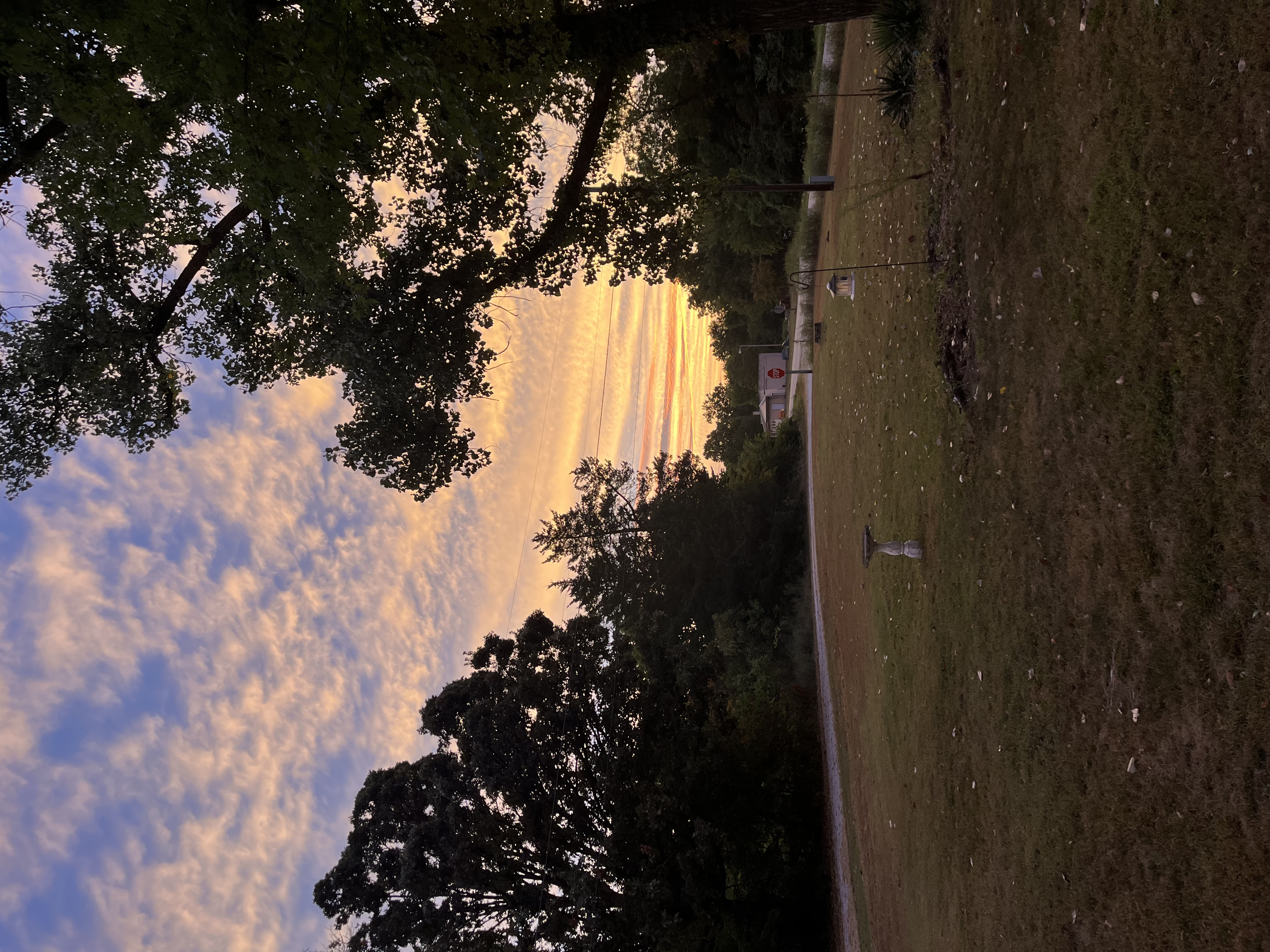 Submitted by Trudy Wade