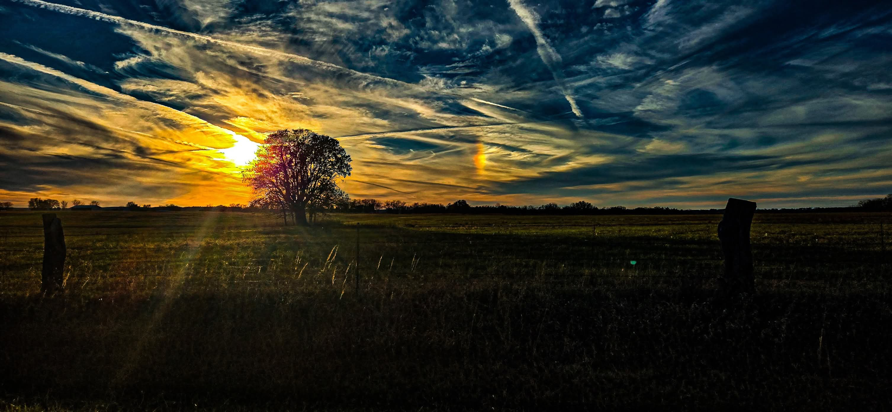 Submitted by Whitney Deckard