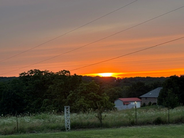 Submitted by Diana Carpenter