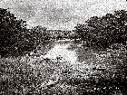 Sac River, Cedar County