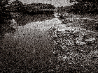 Sac River, Cedar County