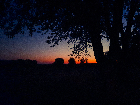 Cedar County
