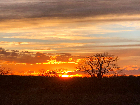Cedar County