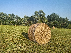 Cedar County
