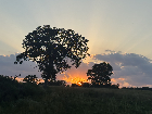Submitted by Katlyn Hulsey