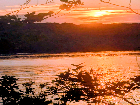 Stockton Lake