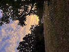 Submitted by Trudy Wade